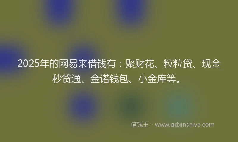 2025年的网易来借钱有：聚财花、粒粒贷、现金秒贷通、金诺钱包、小金库等。