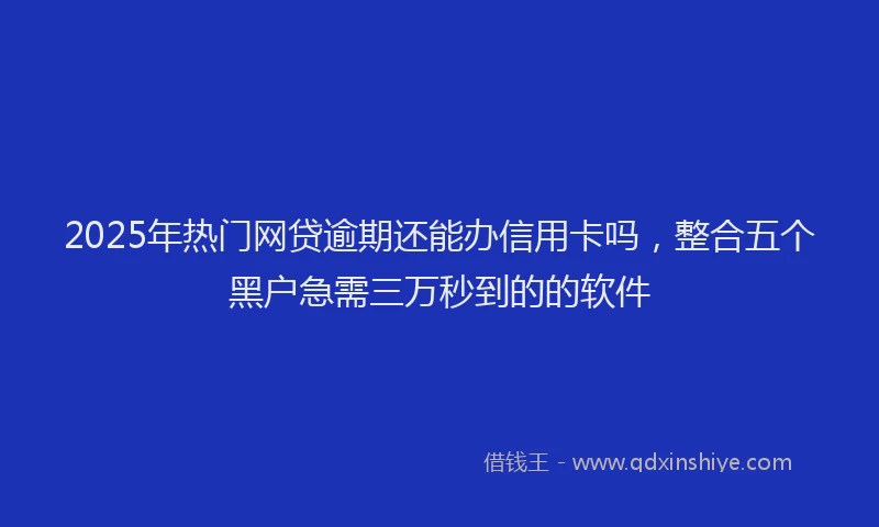2025年热门网贷逾期还能办信用卡吗，整合五个黑户急需三万秒到的的软件