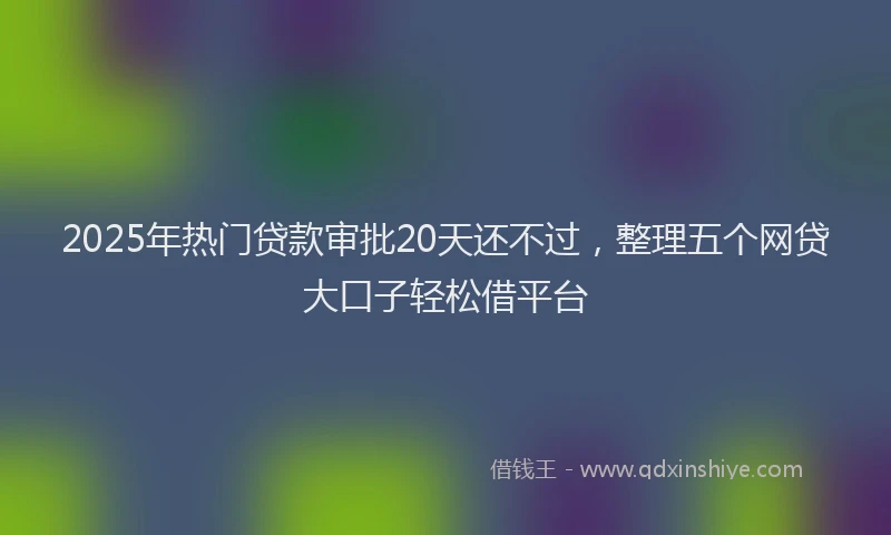 2025年热门贷款审批20天还不过，整理五个网贷大口子轻松借平台