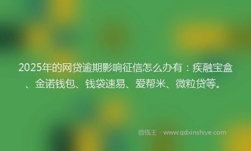 2025年的网贷逾期影响征信怎么办有：疾融宝盒、金诺钱包、钱袋速易、爱帮米、微粒贷等。