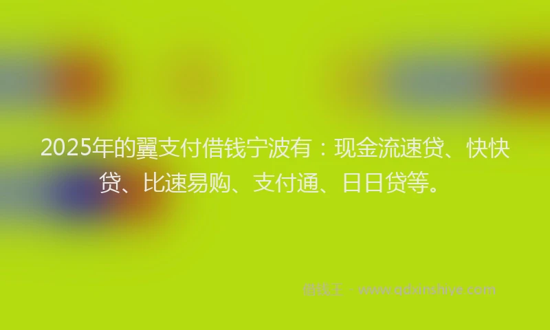 2025年的翼支付借钱宁波有：现金流速贷、快快贷、比速易购、支付通、日日贷等。