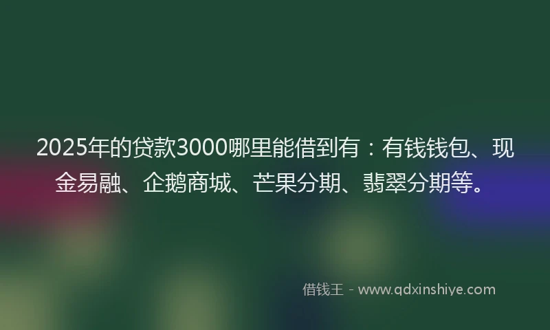 2025年的贷款3000哪里能借到有：有钱钱包、现金易融、企鹅商城、芒果分期、翡翠分期等。