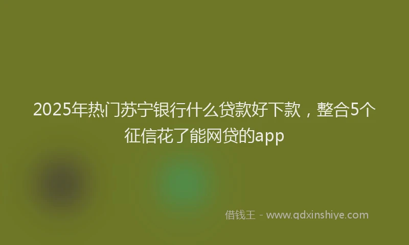 2025年热门苏宁银行什么贷款好下款，整合5个征信花了能网贷的app