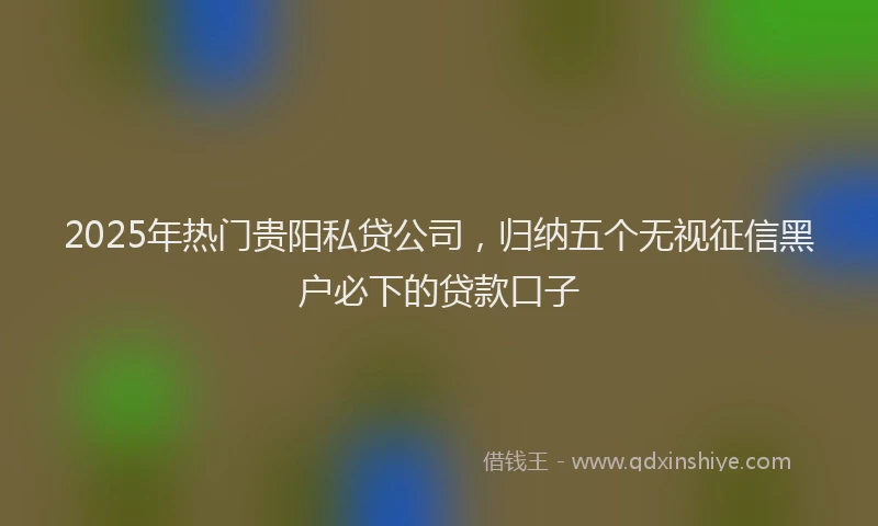 2025年热门贵阳私贷公司，归纳五个无视征信黑户必下的贷款口子