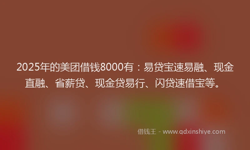 2025年的美团借钱8000有：易贷宝速易融、现金直融、省薪贷、现金贷易行、闪贷速借宝等。