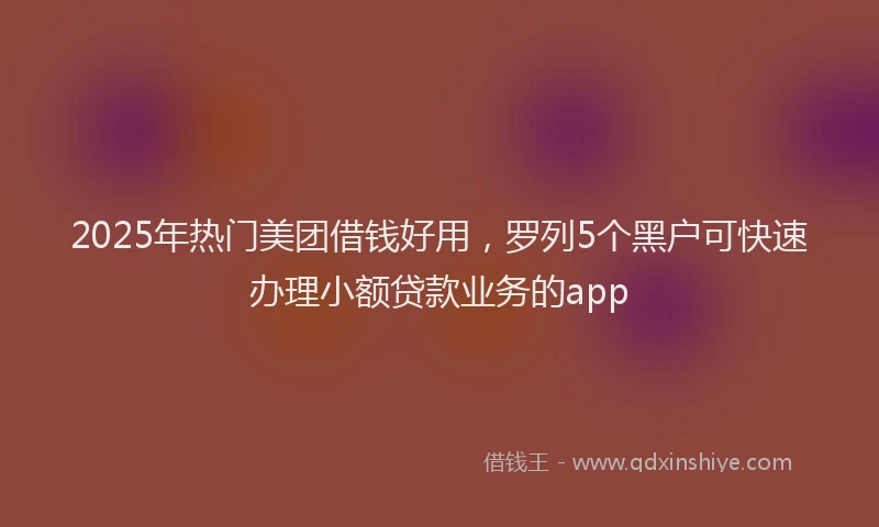 2025年热门美团借钱好用，罗列5个黑户可快速办理小额贷款业务的app
