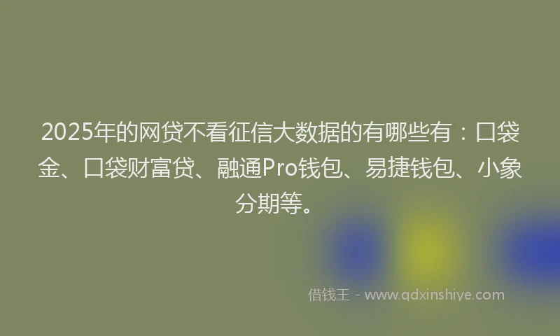 2025年的网贷不看征信大数据的有哪些有：口袋金、口袋财富贷、融通Pro钱包、易捷钱包、小象分期等。