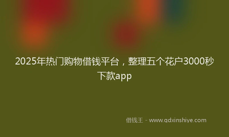 2025年热门购物借钱平台，整理五个花户3000秒下款app