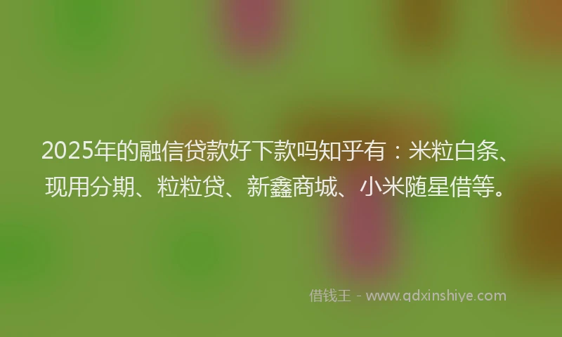 2025年的融信贷款好下款吗知乎有：米粒白条、现用分期、粒粒贷、新鑫商城、小米随星借等。