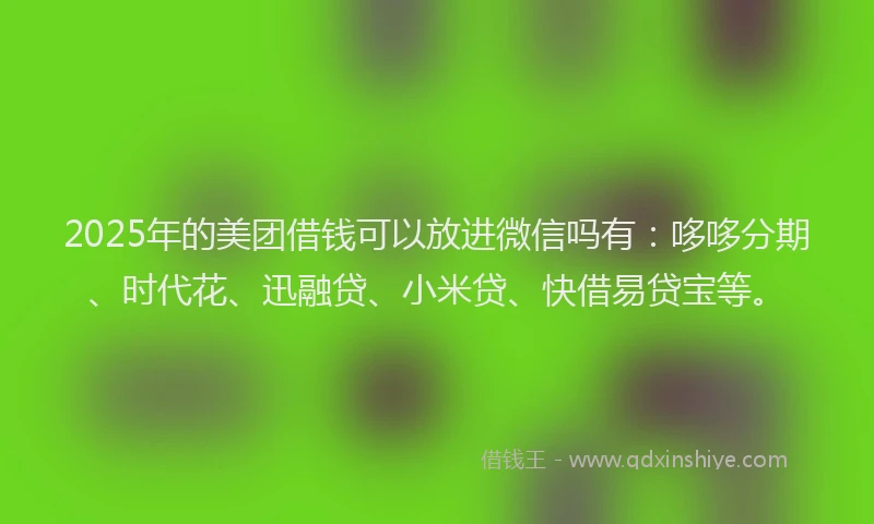 2025年的美团借钱可以放进微信吗有：哆哆分期、时代花、迅融贷、小米贷、快借易贷宝等。