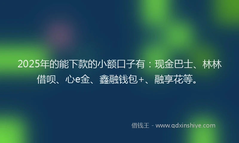 2025年的能下款的小额口子有：现金巴士、林林借呗、心e金、鑫融钱包+、融享花等。