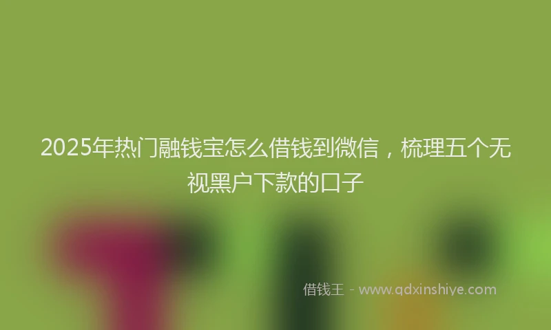 2025年热门融钱宝怎么借钱到微信，梳理五个无视黑户下款的口子