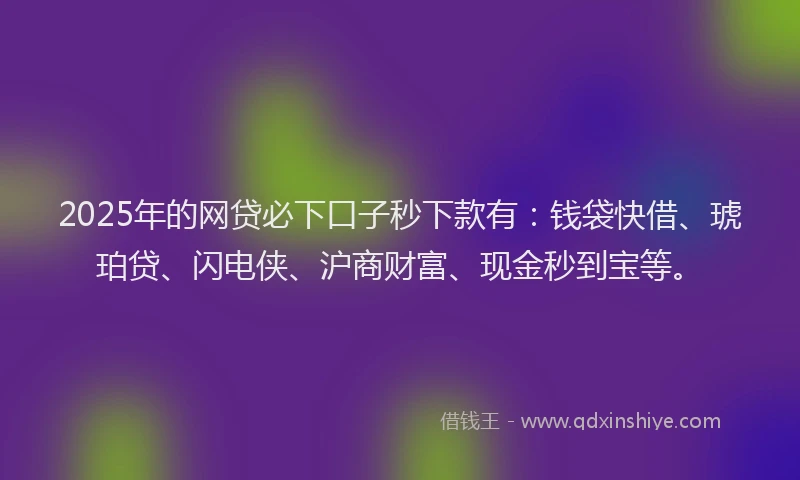 2025年的网贷必下口子秒下款有：钱袋快借、琥珀贷、闪电侠、沪商财富、现金秒到宝等。