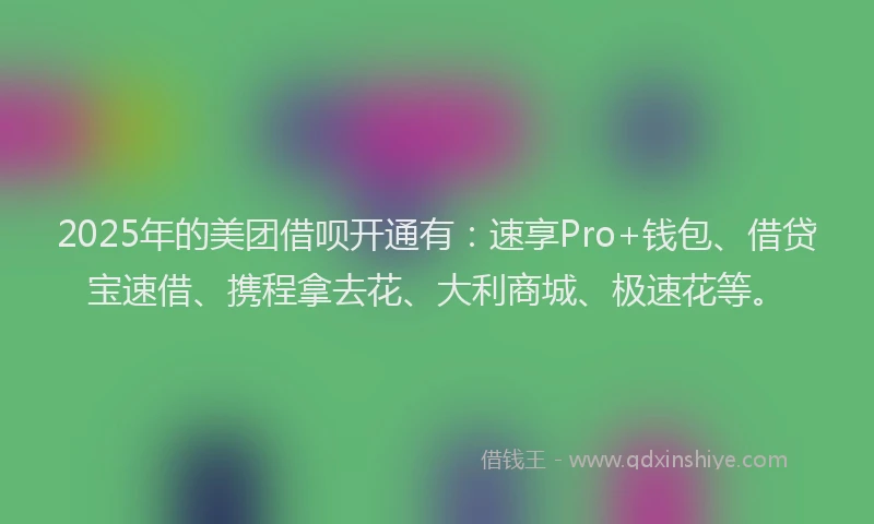2025年的美团借呗开通有：速享Pro+钱包、借贷宝速借、携程拿去花、大利商城、极速花等。