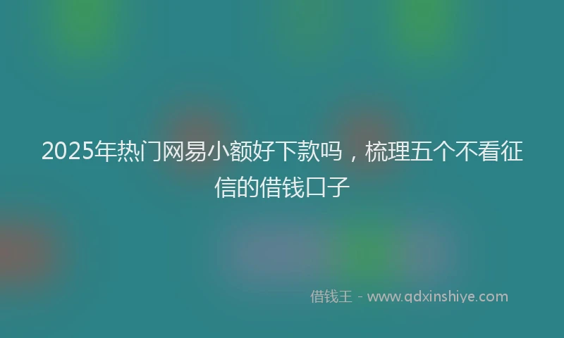 2025年热门网易小额好下款吗，梳理五个不看征信的借钱口子