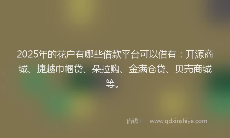 2025年的花户有哪些借款平台可以借有：开源商城、捷越巾帼贷、朵拉购、金满仓贷、贝壳商城等。