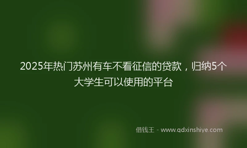 2025年热门苏州有车不看征信的贷款，归纳5个大学生可以使用的平台