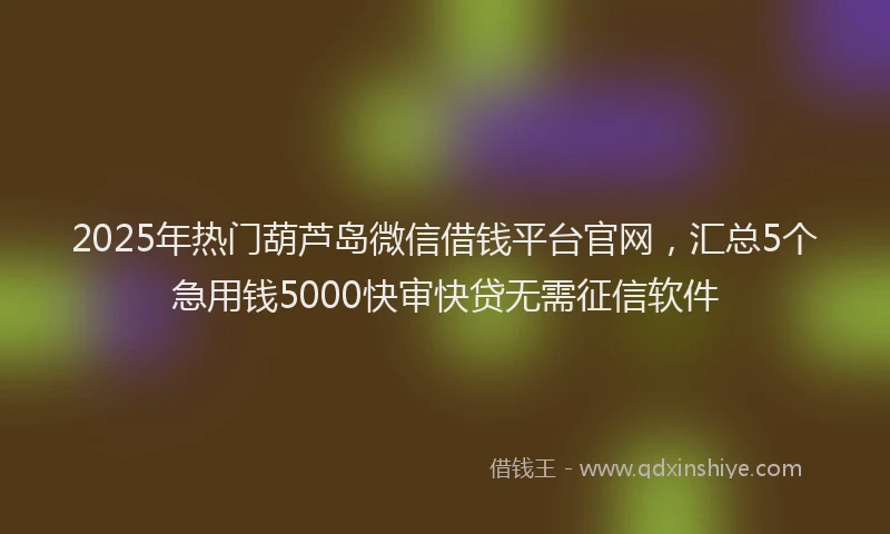 2025年热门葫芦岛微信借钱平台官网，汇总5个急用钱5000快审快贷无需征信软件