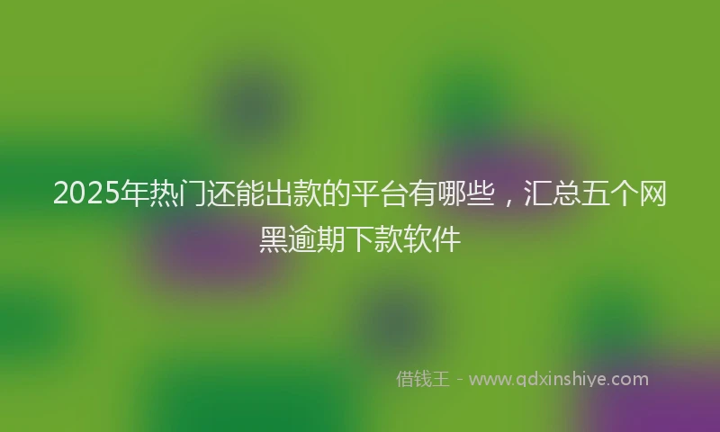 2025年热门还能出款的平台有哪些，汇总五个网黑逾期下款软件