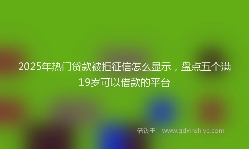 2025年热门贷款被拒征信怎么显示，盘点五个满19岁可以借款的平台