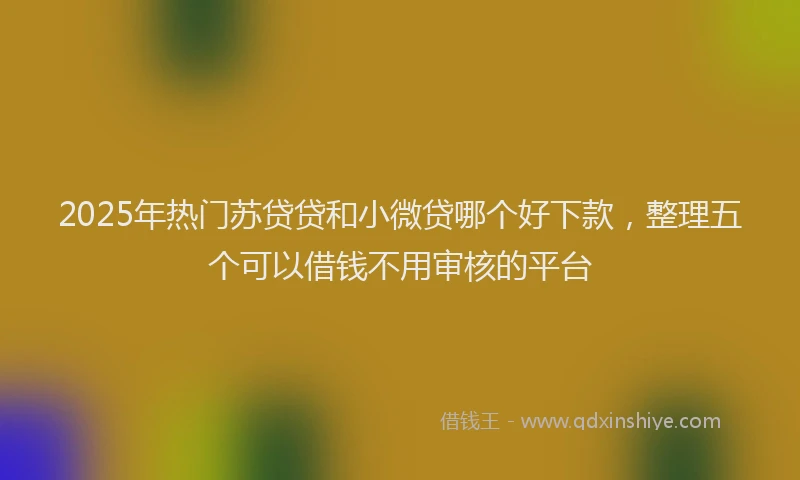 2025年热门苏贷贷和小微贷哪个好下款，整理五个可以借钱不用审核的平台
