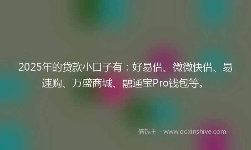 2025年的贷款小口子有：好易借、微微快借、易速购、万盛商城、融通宝Pro钱包等。