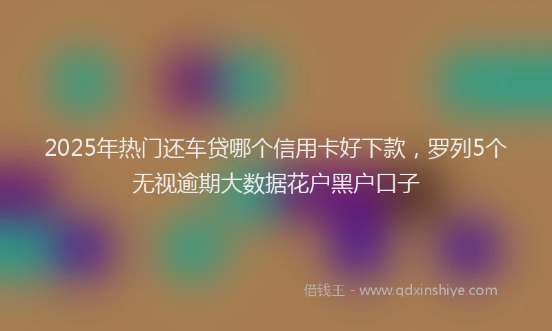 2025年热门还车贷哪个信用卡好下款，罗列5个无视逾期大数据花户黑户口子