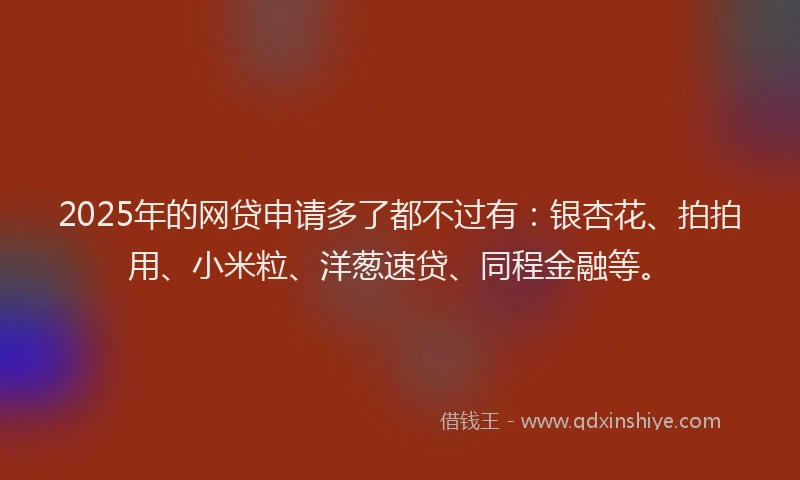 2025年的网贷申请多了都不过有：银杏花、拍拍用、小米粒、洋葱速贷、同程金融等。