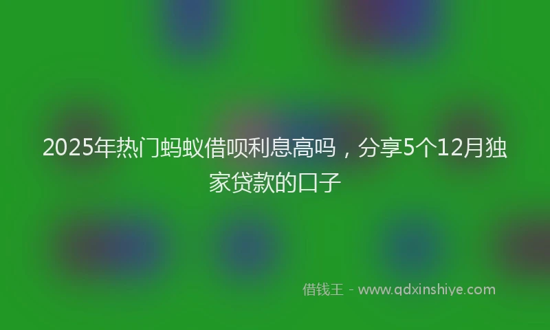 2025年热门蚂蚁借呗利息高吗，分享5个12月独家贷款的口子