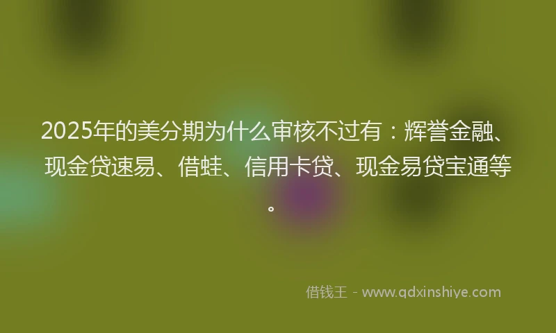 2025年的美分期为什么审核不过有：辉誉金融、现金贷速易、借蛙、信用卡贷、现金易贷宝通等。