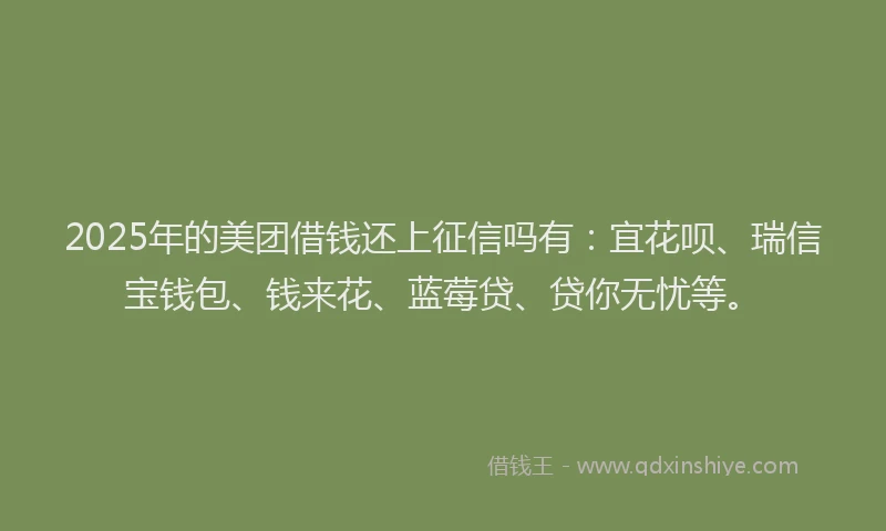 2025年的美团借钱还上征信吗有：宜花呗、瑞信宝钱包、钱来花、蓝莓贷、贷你无忧等。