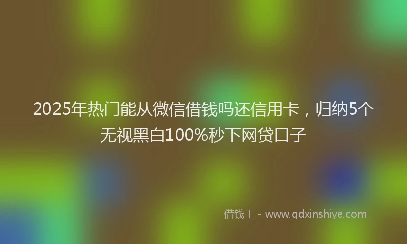 2025年热门能从微信借钱吗还信用卡，归纳5个无视黑白100%秒下网贷口子