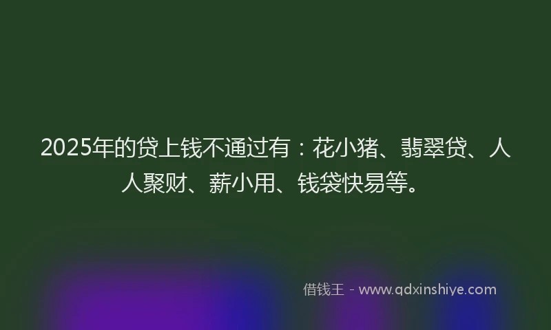 2025年的贷上钱不通过有：花小猪、翡翠贷、人人聚财、薪小用、钱袋快易等。
