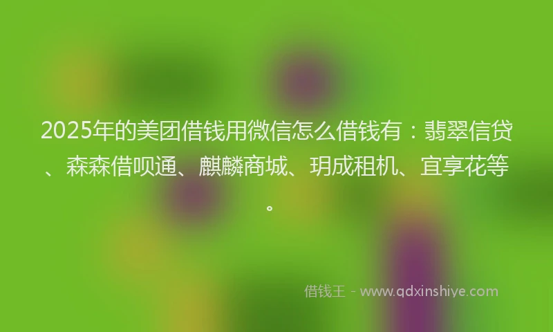 2025年的美团借钱用微信怎么借钱有：翡翠信贷、森森借呗通、麒麟商城、玥成租机、宜享花等。