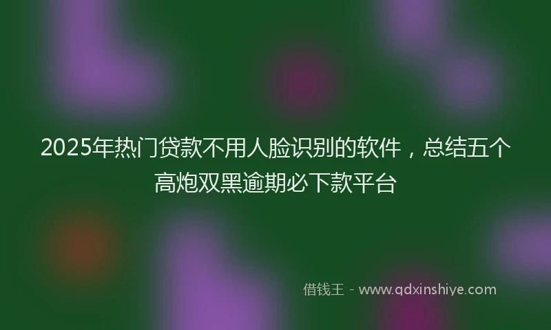 2025年热门贷款不用人脸识别的软件，总结五个高炮双黑逾期必下款平台