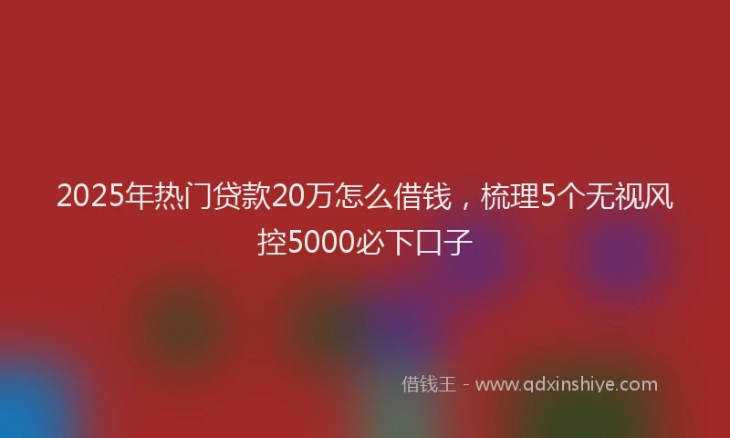 2025年热门贷款20万怎么借钱，梳理5个无视风控5000必下口子