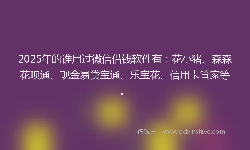 2025年的谁用过微信借钱软件有：花小猪、森森花呗通、现金易贷宝通、乐宝花、信用卡管家等。