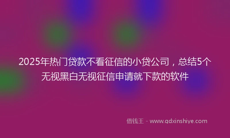 2025年热门贷款不看征信的小贷公司，总结5个无视黑白无视征信申请就下款的软件