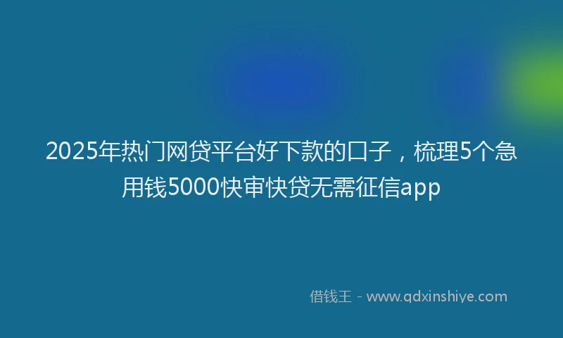 2025年热门网贷平台好下款的口子，梳理5个急用钱5000快审快贷无需征信app