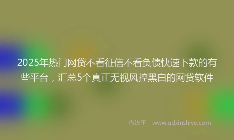 2025年热门网贷不看征信不看负债快速下款的有些平台，汇总5个真正无视风控黑白的网贷软件