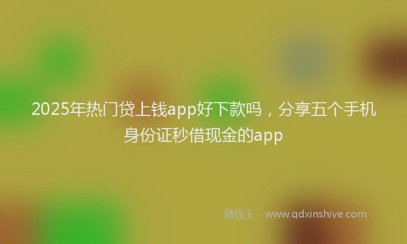 2025年热门贷上钱app好下款吗，分享五个手机身份证秒借现金的app