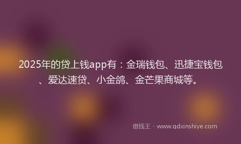 2025年的贷上钱app有：金瑞钱包、迅捷宝钱包、爱达速贷、小金鸽、金芒果商城等。