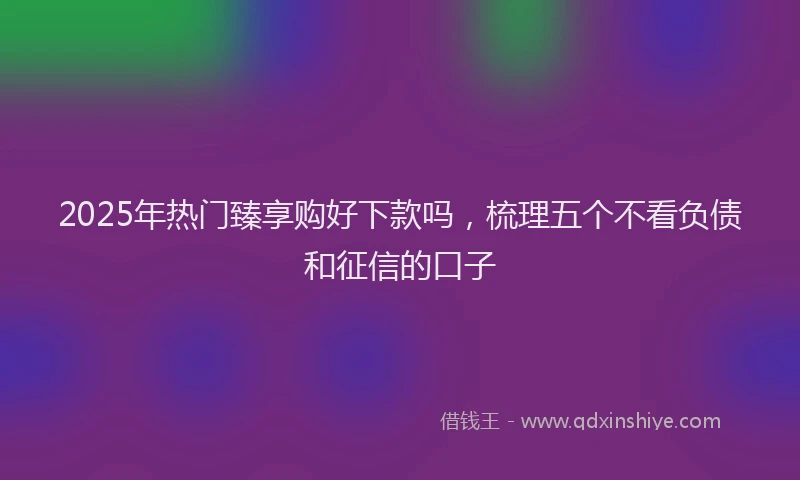 2025年热门臻享购好下款吗，梳理五个不看负债和征信的口子
