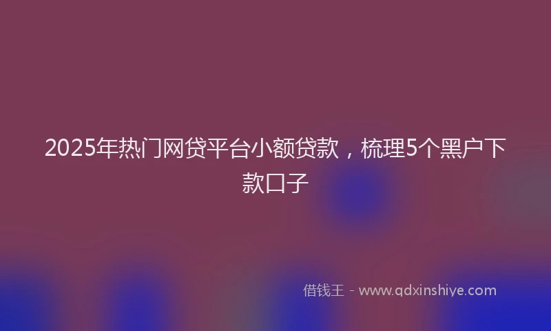 2025年热门网贷平台小额贷款，梳理5个黑户下款口子