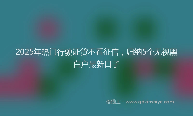 2025年热门行驶证贷不看征信，归纳5个无视黑白户最新口子