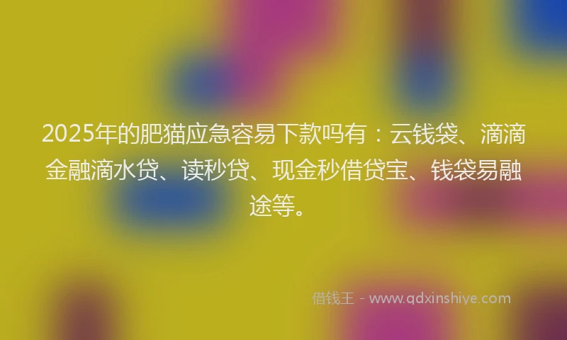 2025年的肥猫应急容易下款吗有：云钱袋、滴滴金融滴水贷、读秒贷、现金秒借贷宝、钱袋易融途等。
