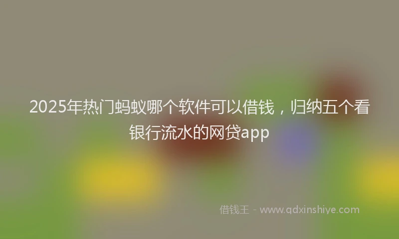 2025年热门蚂蚁哪个软件可以借钱，归纳五个看银行流水的网贷app