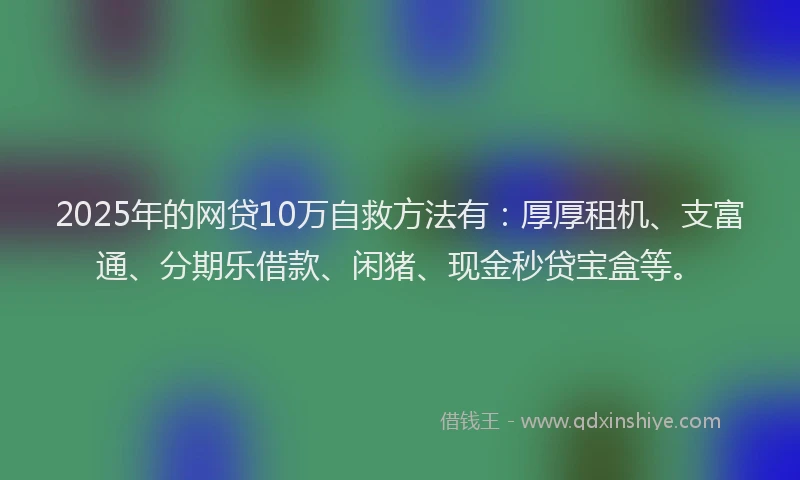 2025年的网贷10万自救方法有：厚厚租机、支富通、分期乐借款、闲猪、现金秒贷宝盒等。