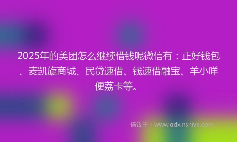 2025年的美团怎么继续借钱呢微信有：正好钱包、麦凯旋商城、民贷速借、钱速借融宝、羊小咩便荔卡等。