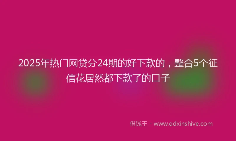 2025年热门网贷分24期的好下款的，整合5个征信花居然都下款了的口子